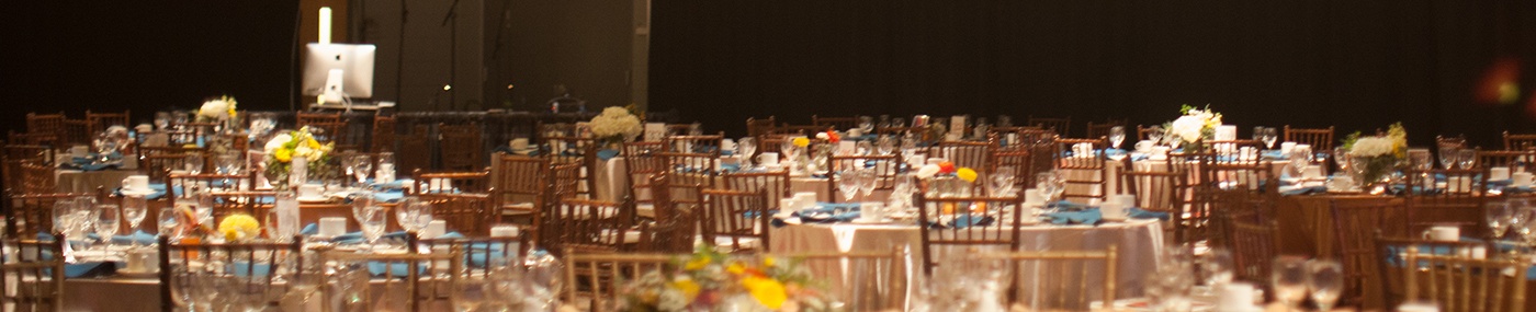 school-gala-2015-home.jpg